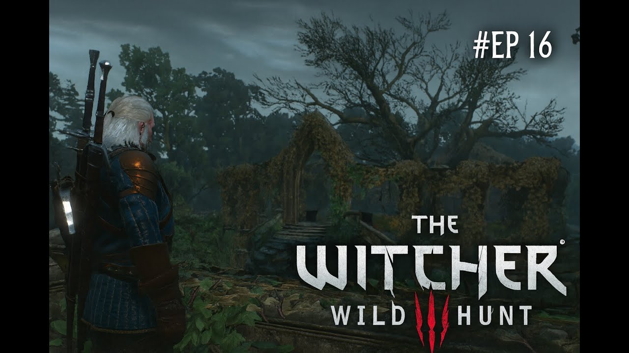 The Witcher 3 Let's Play FR – Exploration du Jardin de Freya & poursuite de Ciri (Épisode 16)