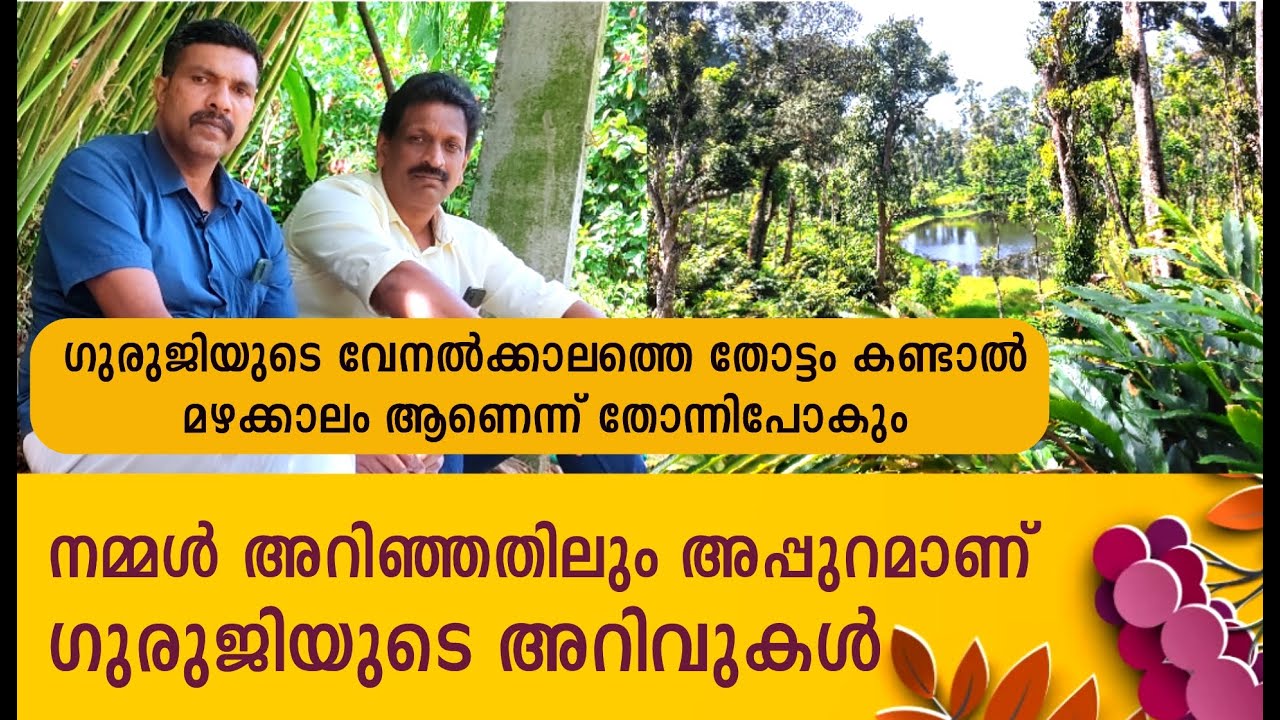 ഗുരുജിയുടെ വേനൽക്കാലത്തെ തോട്ടം കണ്ടാൽ മഴക്കാലം ആണെന്ന് തോന്നിപോകും#best #ways for # cardamom