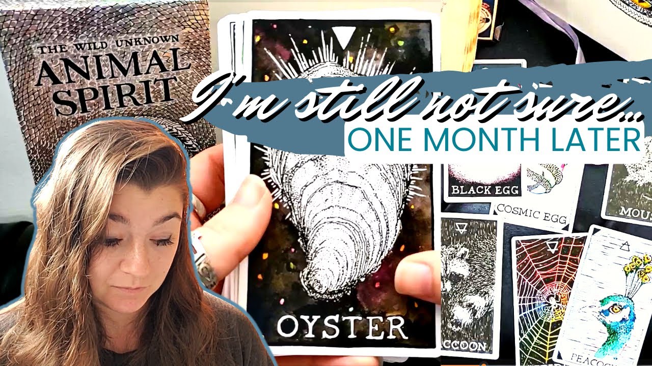 One Month with the Wild Unknown Animal Spirit Oracle