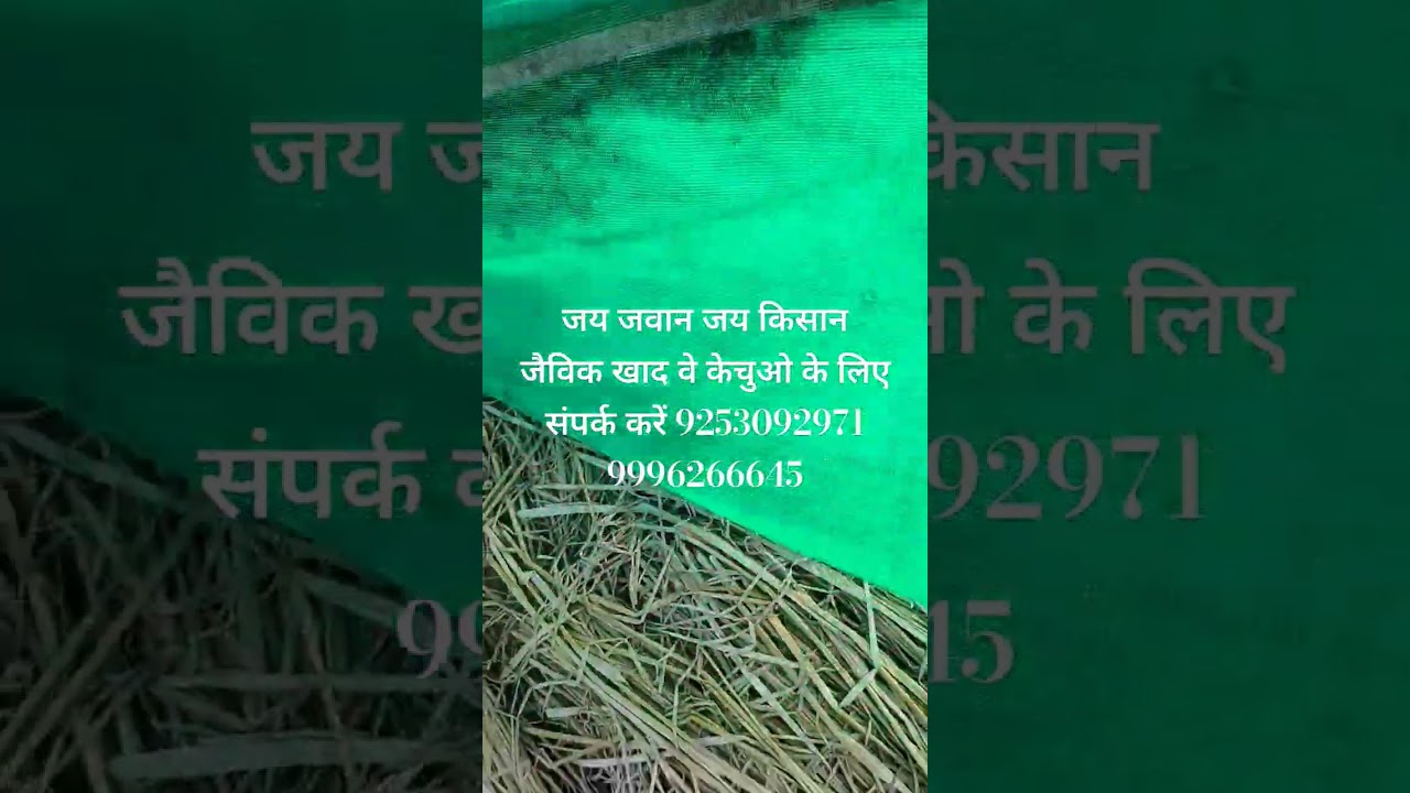 Jaivik khad #earthworm #farming #jaivakrishi #motivation #agriculture #gardening #jamidaar