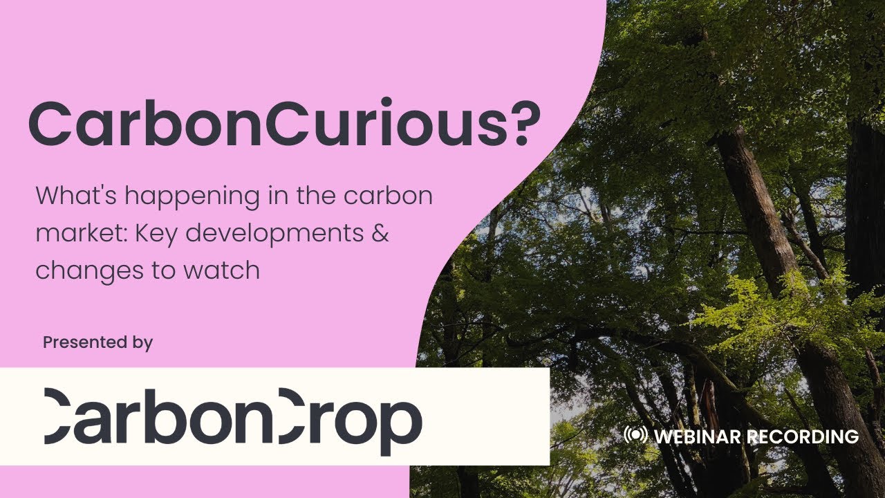 CarbonCurious | What's Happening In the Carbon Market: Key Developments and Changes to Watch