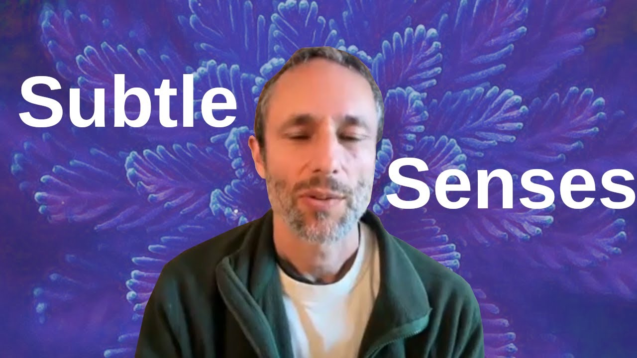 Accessing Subtle Senses