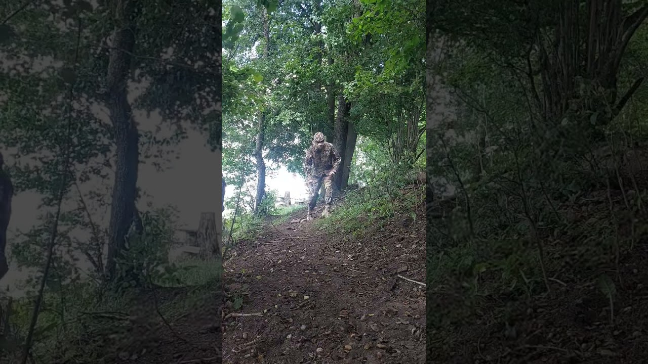 Camotest Vegetato w okresie lata w lesie liściastym 