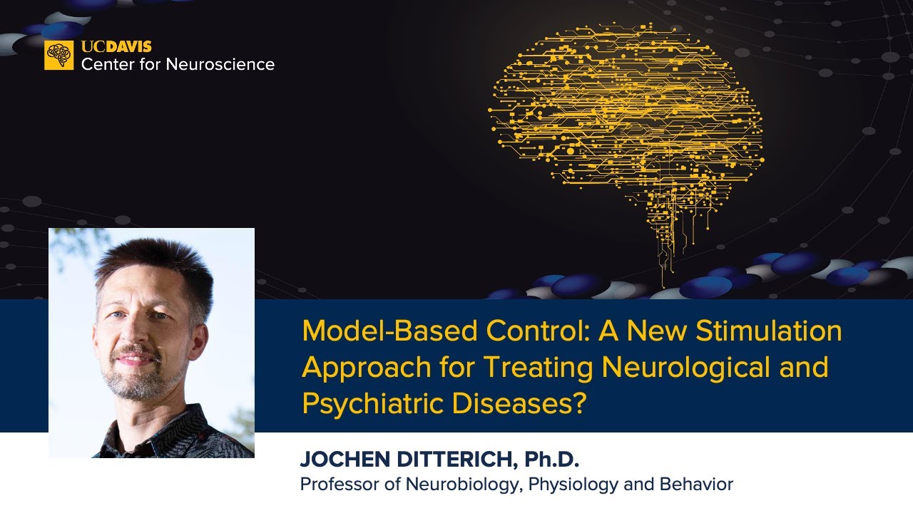 Model-Based Control: A New Stimulation Approach for Treating Neurological and Psychiatric Diseases?