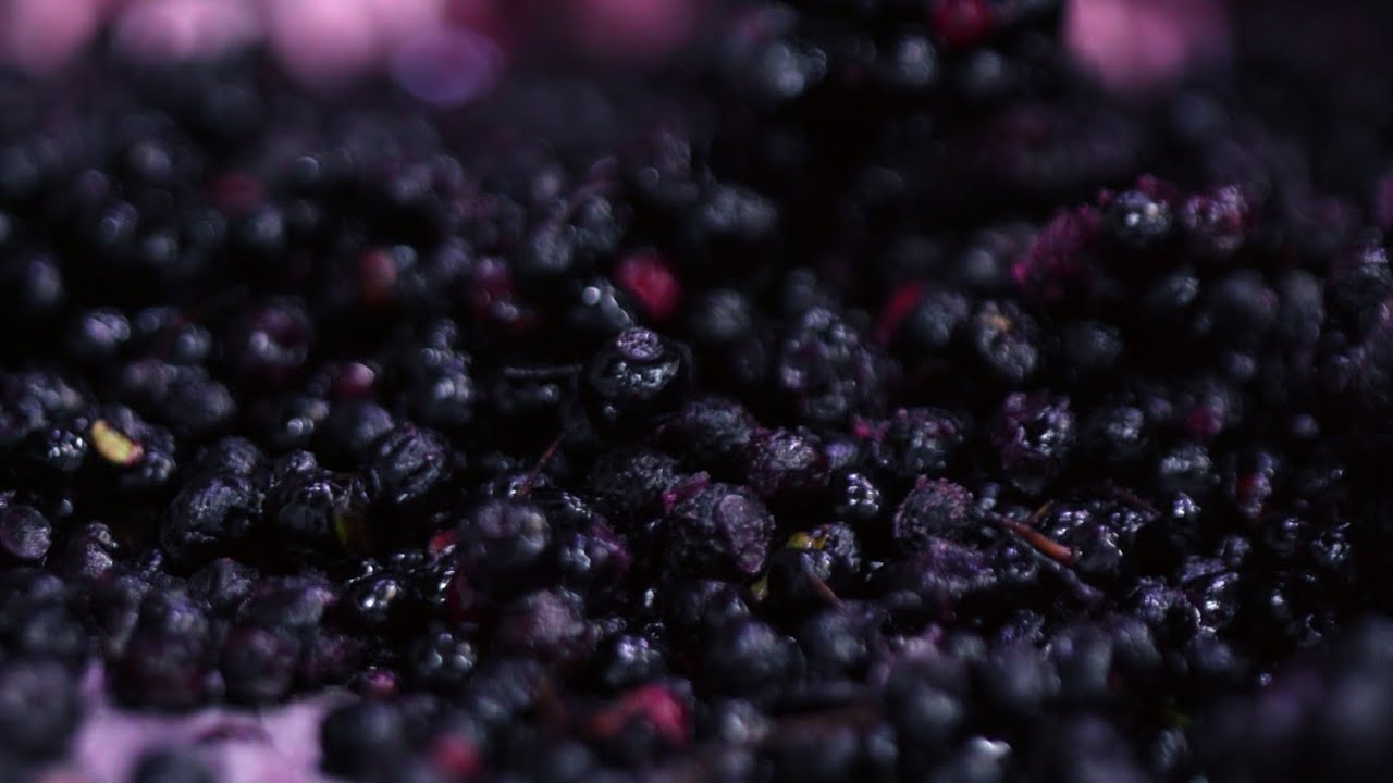 Move Over, Acai. The Maqui Berry Craze Has Arrived