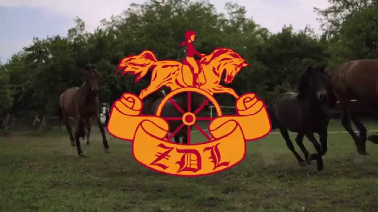 Zgyerka Dóri Lovastanya