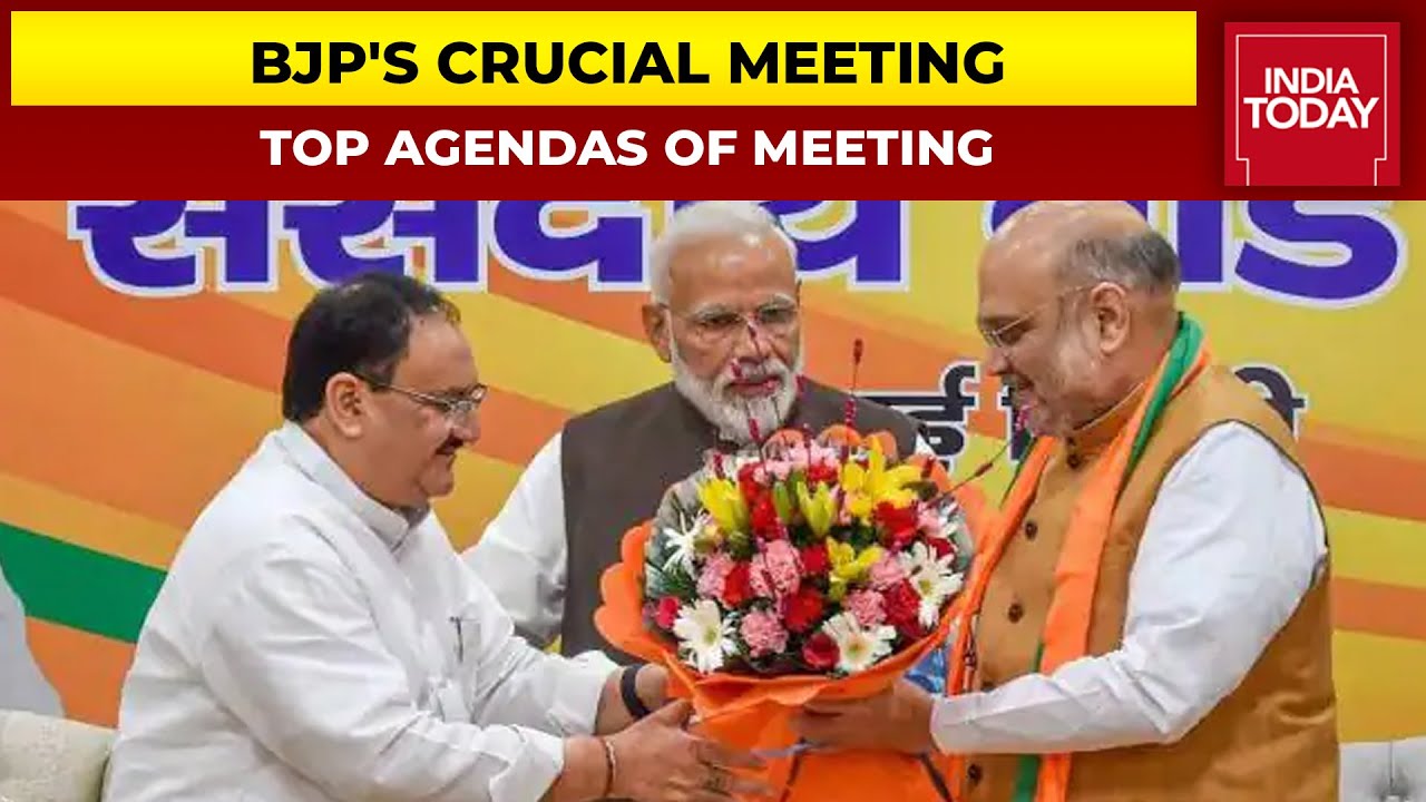 BJP's National Executive Meet: The Main Agendas Of Crucial Meet | India Today