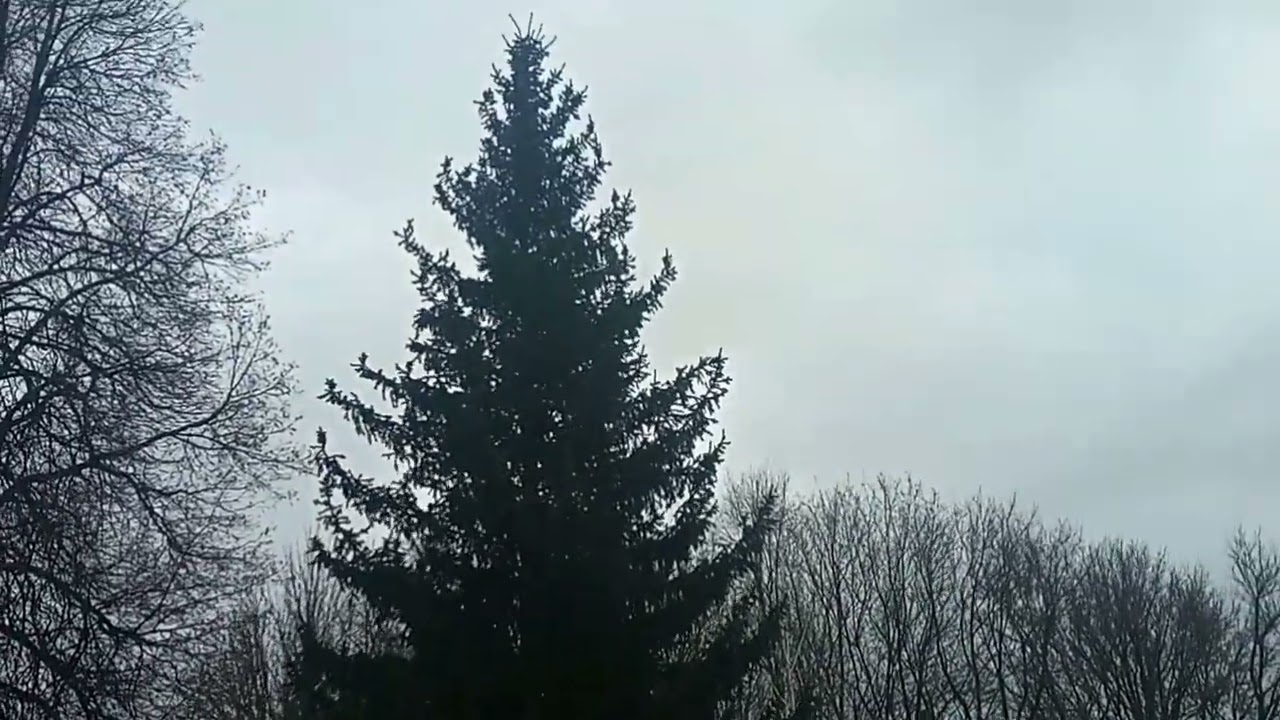 Слушай ветер.