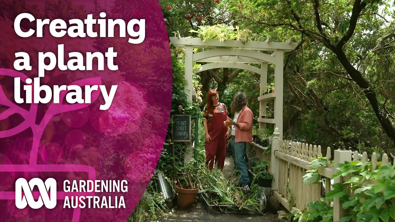 Exploring the plant library enabling community plant swapping | Discovery | Gardening Australia
