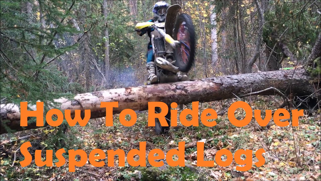 Megan Griffiths: Suspended Log Techniques