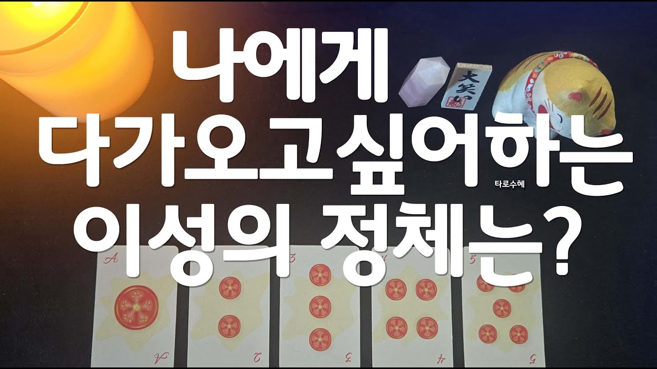 [타로] *｡･+나에게 다가오고 싶어하는 이성의 정체는?+･｡*