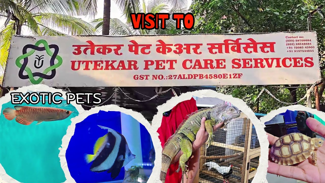 Visit to Utekar Pet Care Services - Pet Shop | Aquarium Safar