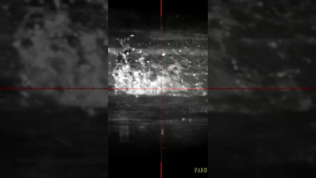 Caza menor en Uruguay con chumbera Pcp  Hatsan Galatian 4 y Mira  Nocturna  Pard