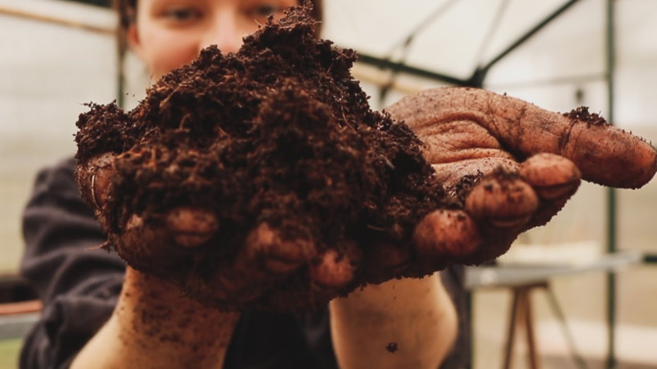¡Cuidado con el Humus de Lombriz! - Tierra para Maceta - Qué Sembrar en Marzo