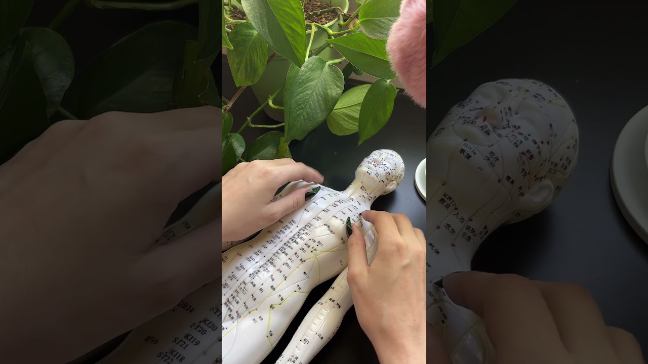 Acupuncture Doll ASMR 💗 #asmr #shorts #asmrshorts