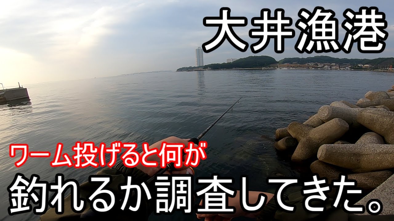 【愛知、大井漁港】ワーム投げると何が釣れるか調査してきた。