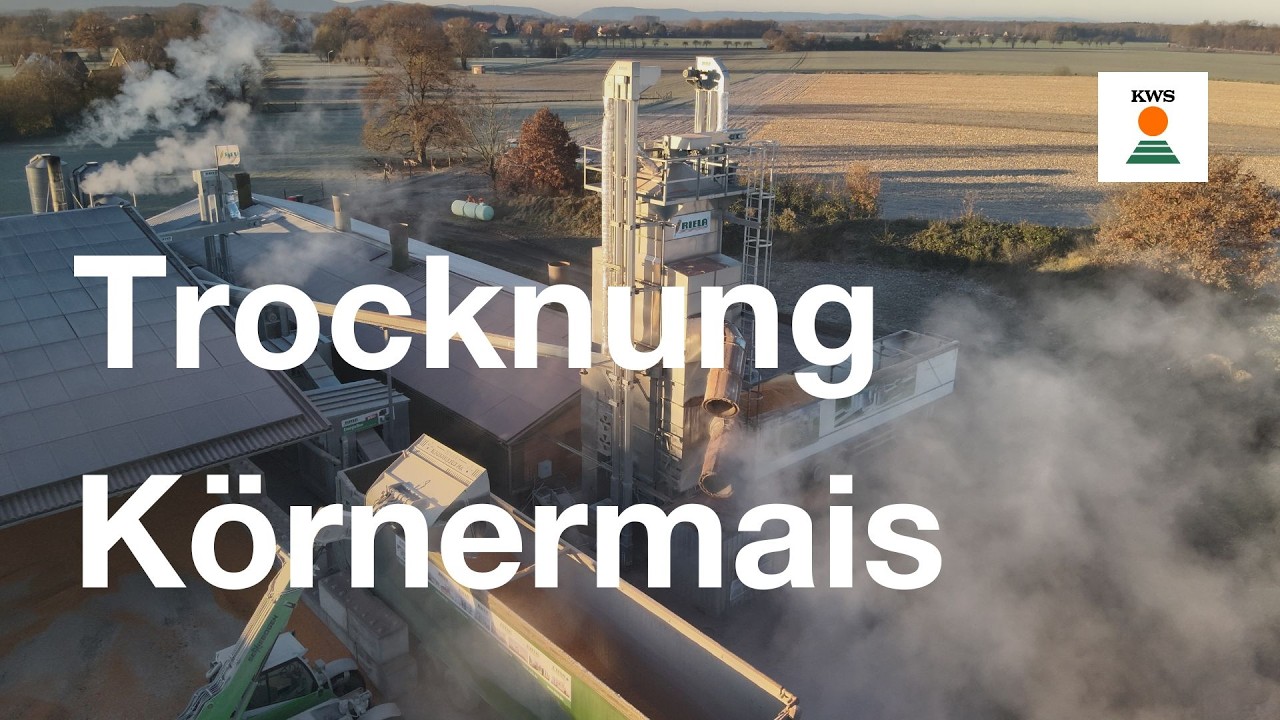 Trocknung von Körnermais auf der Farm am Eulenbruch