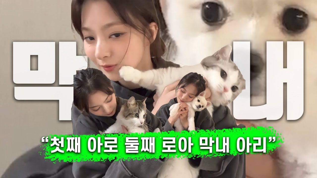 나경이네 새 막내가 생겼다
