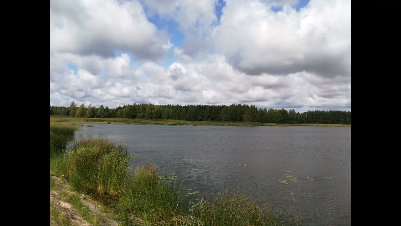 Waterfront Land for Sale: 4.03 ha in Kretinga District, Lithuania