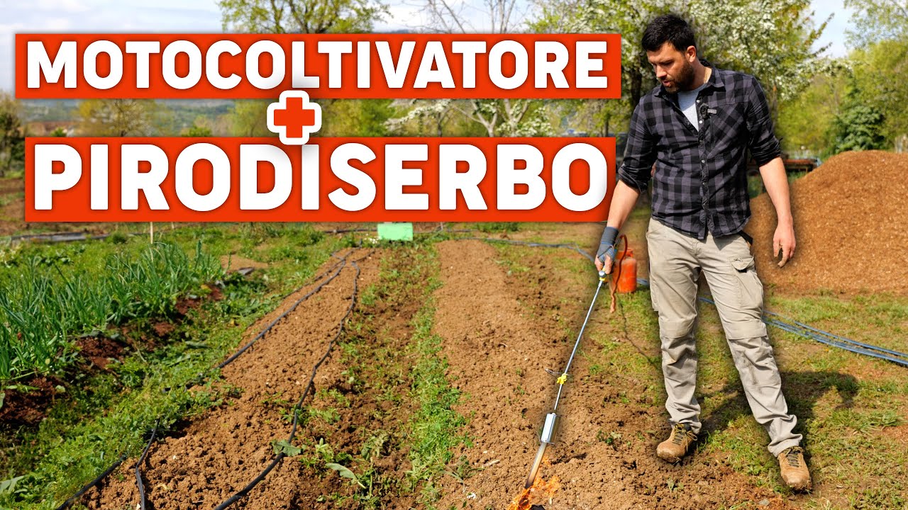 TRUCCO PER ELIMINARE LE ERBACCE SENZA FATICA