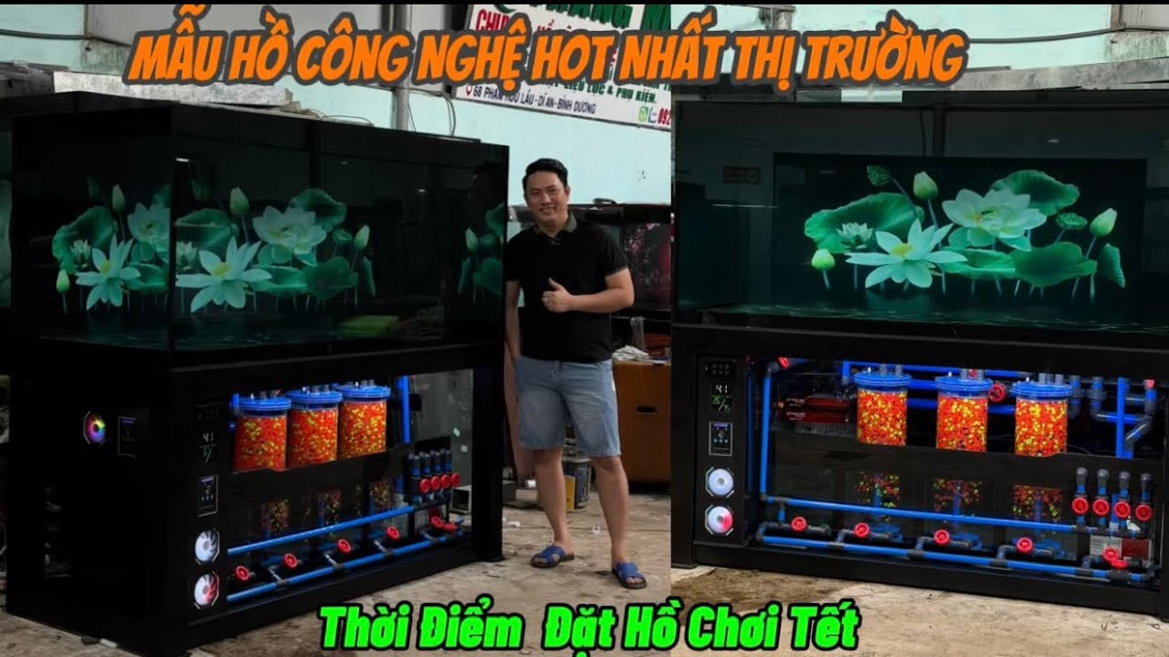 Mẫu Hồ Công Nghệ Hot Nhất Trên Thị Trường - Thời Điểm Gấp Rút Đặt Hồ Cá Chơi Tết