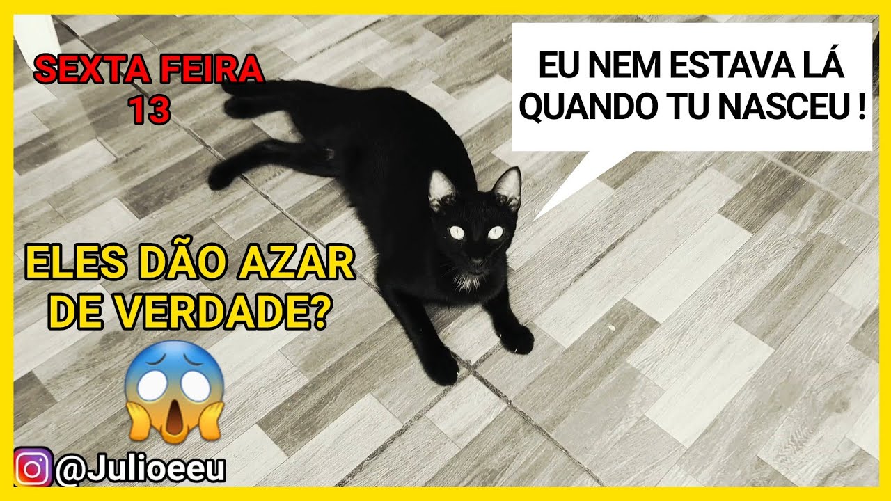 JÚLIO EXPLICA - GATO PRETO da AZAR | Júlio e Eu 😼🙆🏻‍♂️