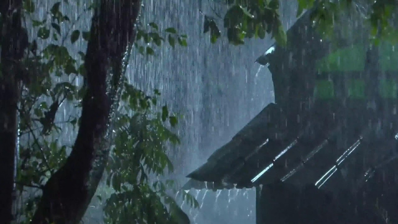 The Ultimate Anxiety Relief: 9 Hours of Gentle Rain for Deep Relaxation & Insomnia Cure 🌧️