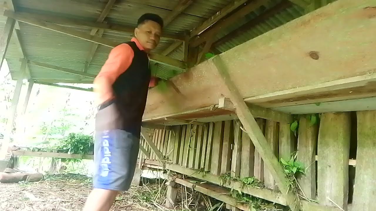 Makani wedus di Kampung Terpencil 