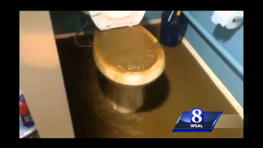 Sewage floods Millersville homes after line break