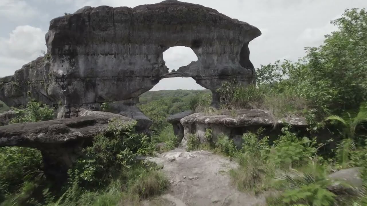 Suriname Scenery 4K - With Calming Music