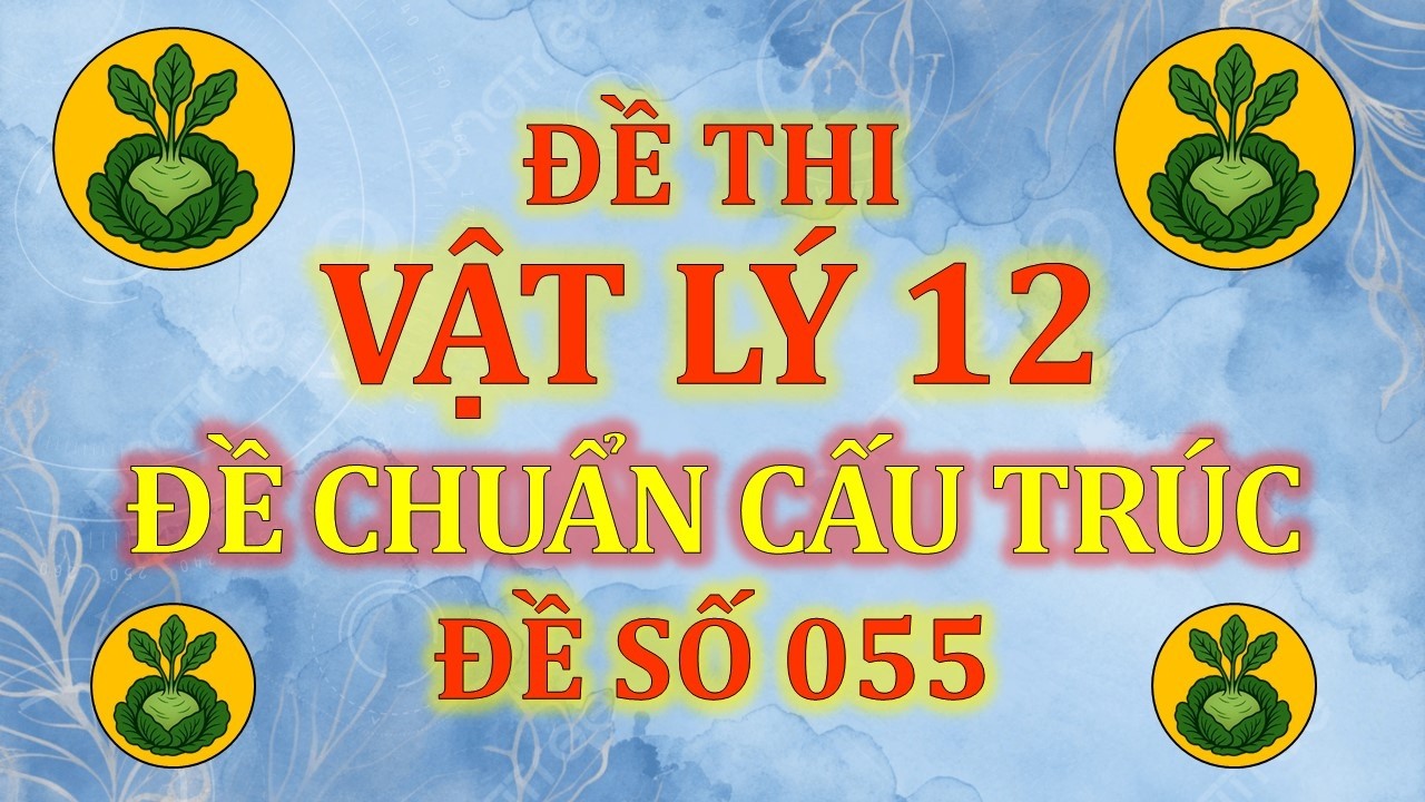 Đề thi Vật Lý 12 - ĐỀ SỐ 055 CHUẨN CẤU TRÚC