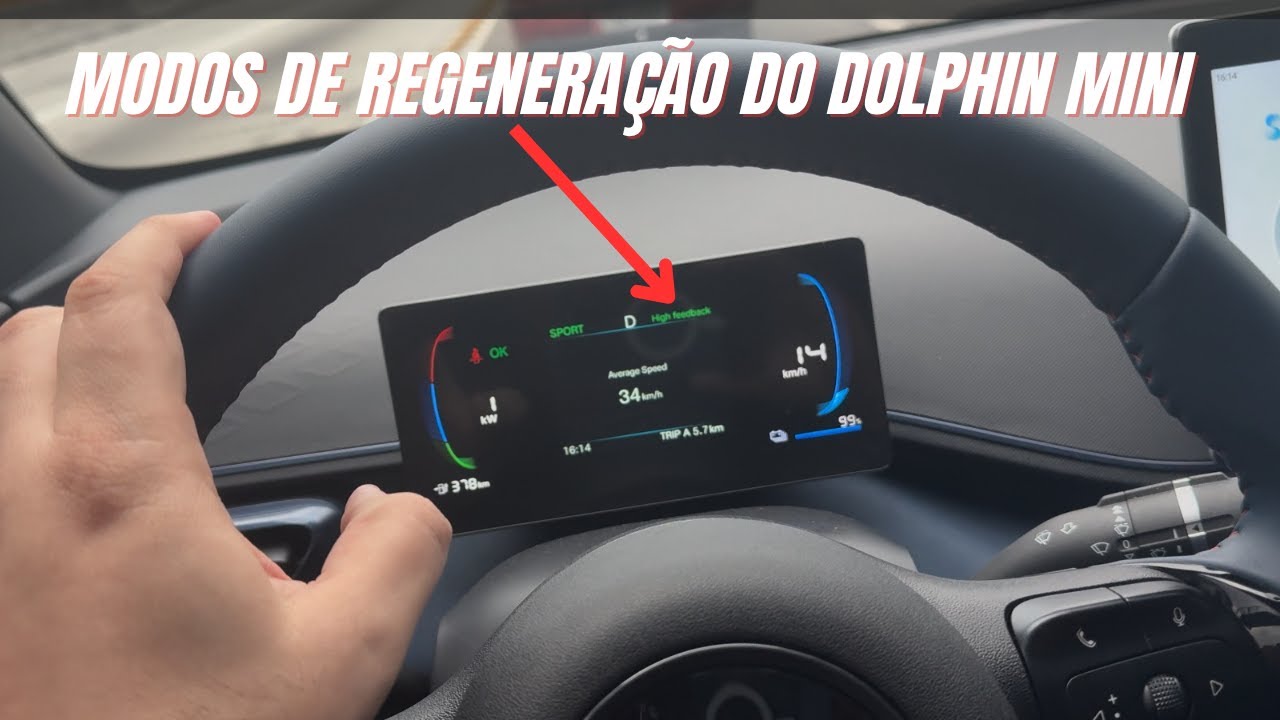 Desvende o SEGREDO da Regeneração do BYD DOLPHIN MINI