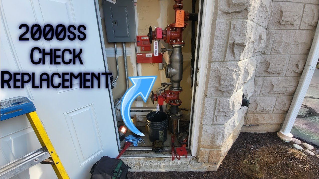 Ames 2000ss Check replacement (vertical)