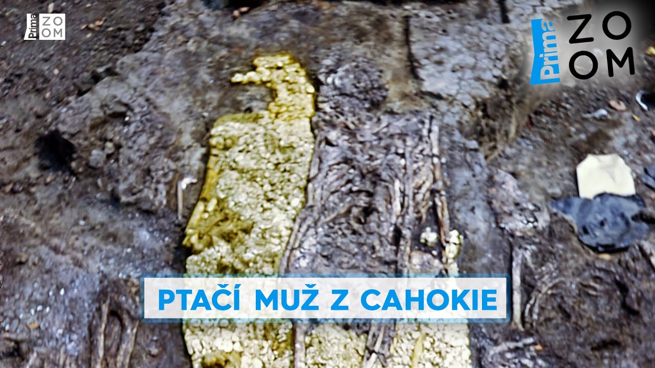 Indi&aacute;nsk&eacute; božstvo mohlo b&yacute;t l&eacute;taj&iacute;c&iacute;m strojem. Pod&iacute;vejte se na hrob ptač&iacute;ho muže