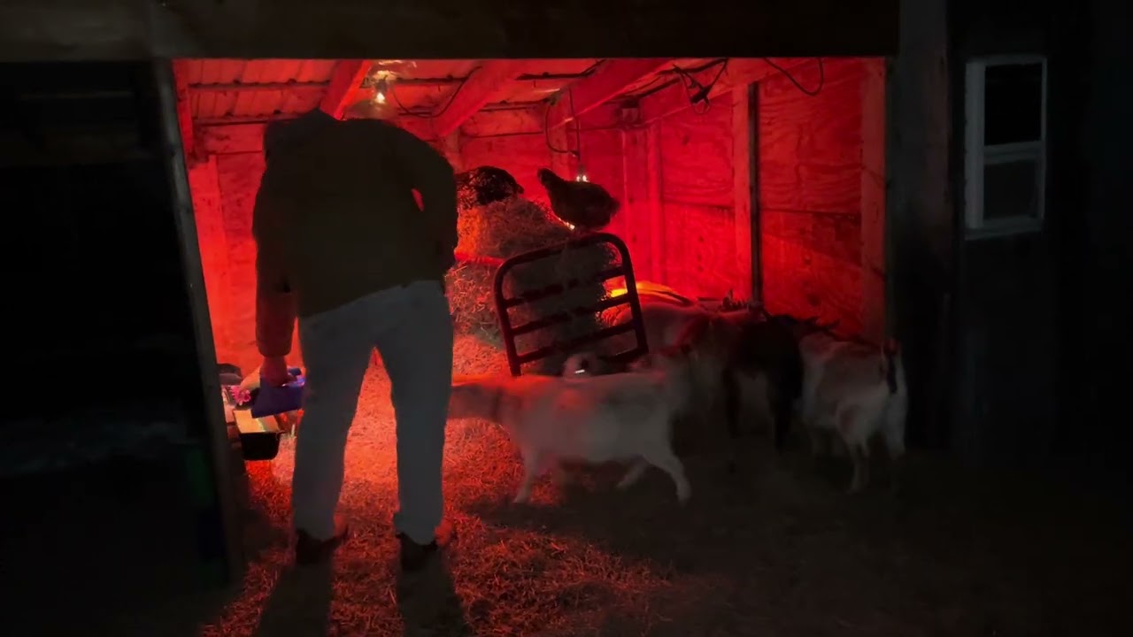 Snacks & Good Night from Nearhoof Homestead