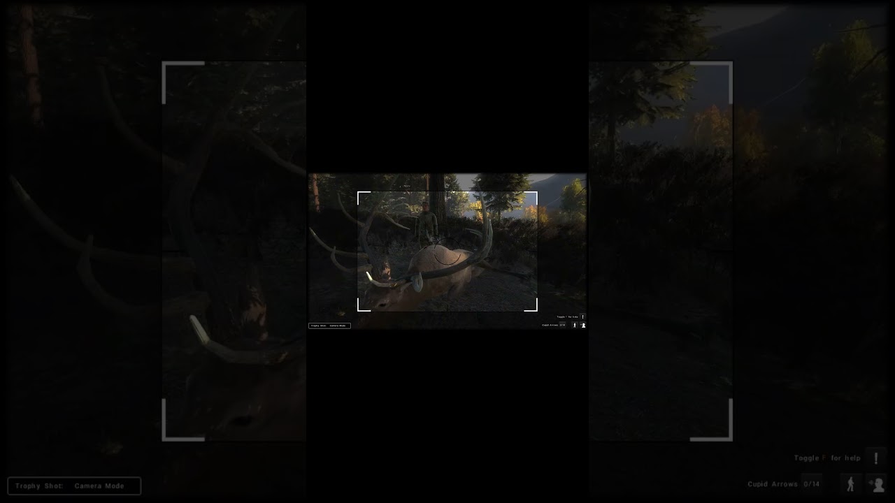404.8 Rocky Mountain Elk on Timbergold Trails | Thehunter Classic