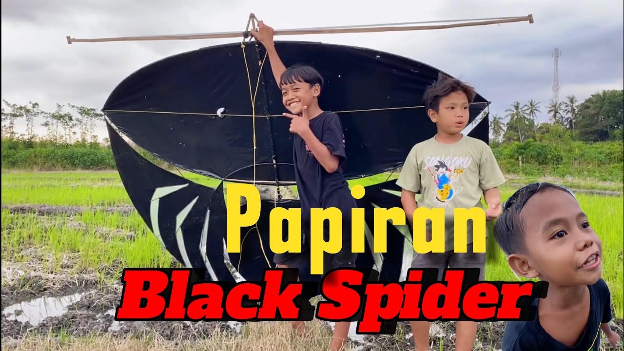 Bocil Keren LAYANGAN BLACK SPIDER Spek Lemes