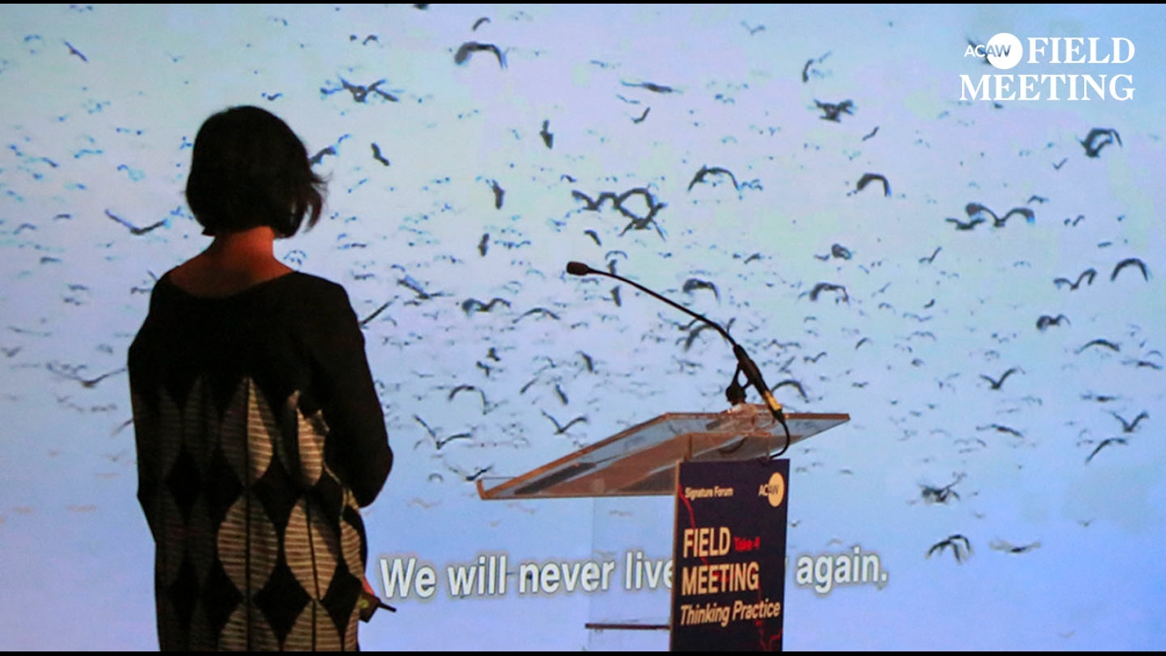 FIELD MEETING Take 4: Thinking Practice - Heba Amin (ACAW 2016)