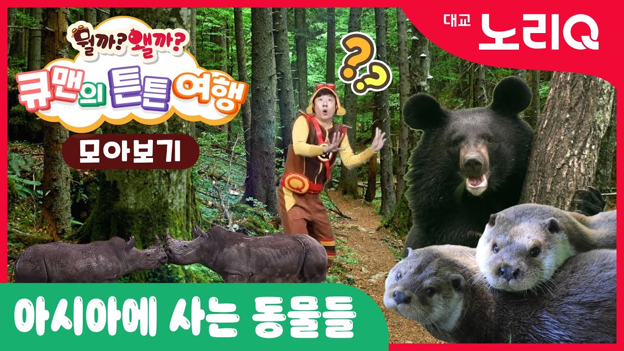 🪂큐맨의 튼튼여행🪂ㅣ모아보기ㅣ아시아에 사는 동물들ㅣ유아체육ㅣ자연관찰ㅣ율동동요ㅣ대교 노리Q