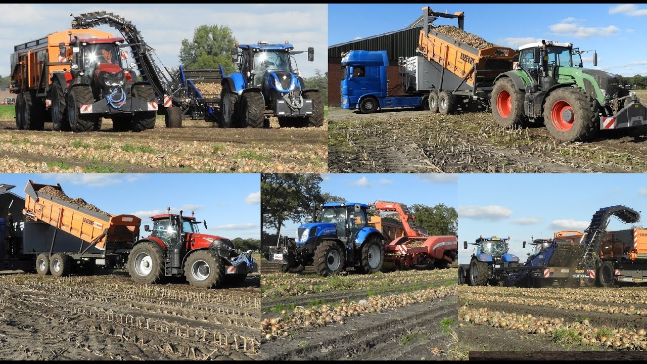 Uien laden  Loading Onions  Striper akkerbouw  2x Dezeure overlaadwagen