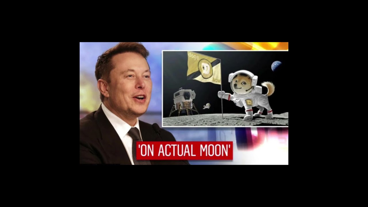 DogeCoin song- Milli of Doge Coin - Blockchainz - DOGE ARMY ANTHEM- prod DonP