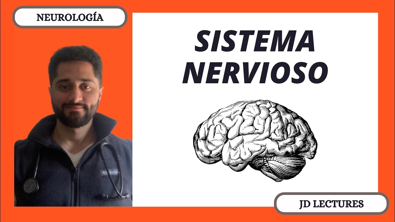 GENERALIDADES DEL SISTEMA NERVIOSO | NEUROLOGÍA