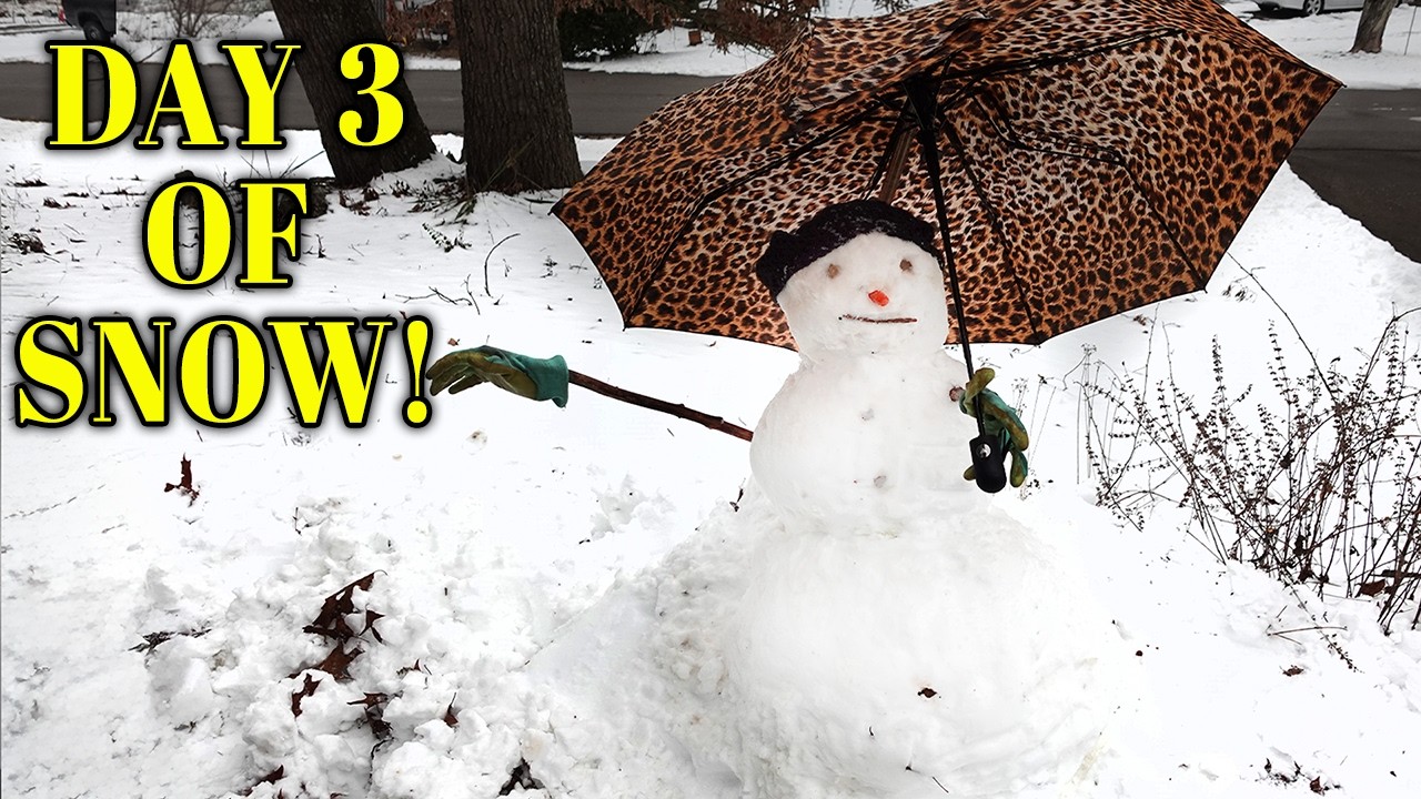 STILL SNOWED IN! ☃️ Winter Deep Clean Challenge, Teens Homeschooling & A Snowman Surprise