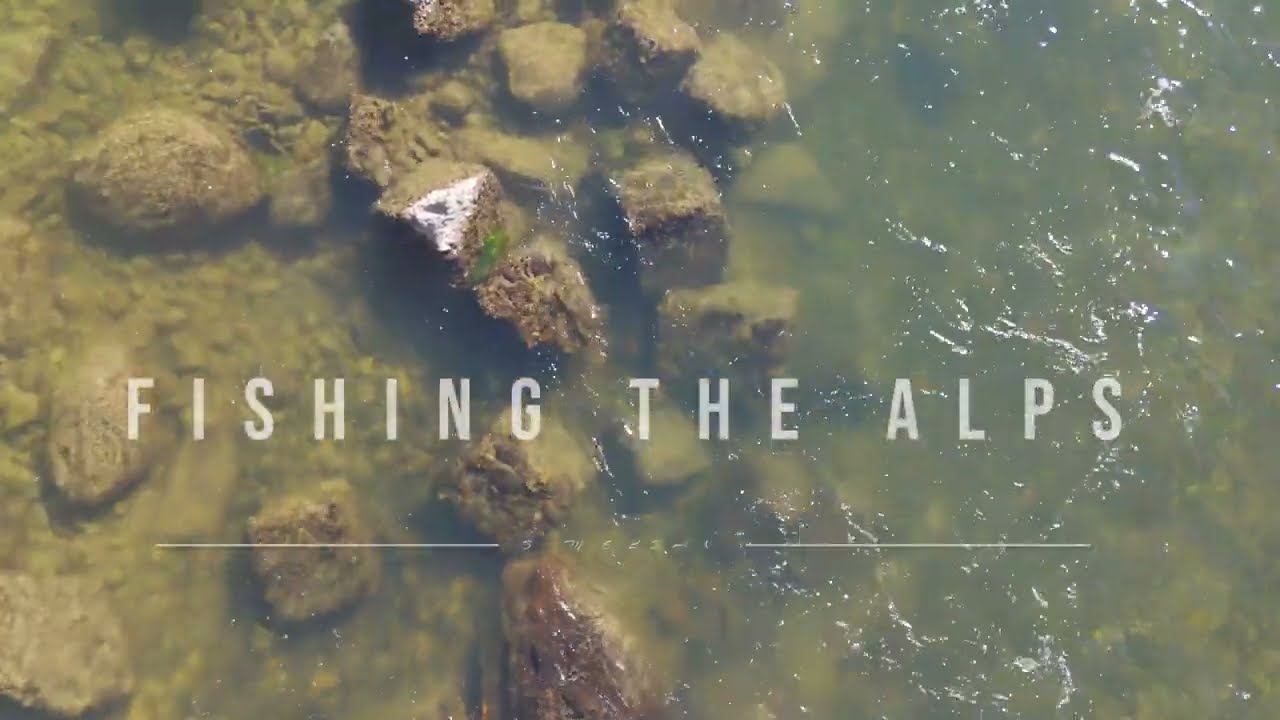 Fishing the Alps | Silence, River and Wild Trout