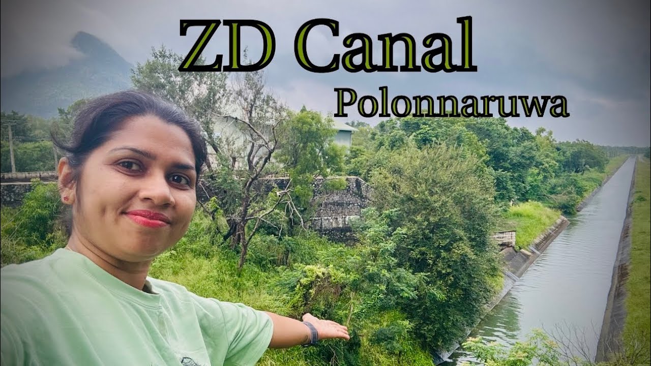 ZD ඇළ 🐘🍃🌊 || Polonnaruwa - Srilanka 🇱🇰