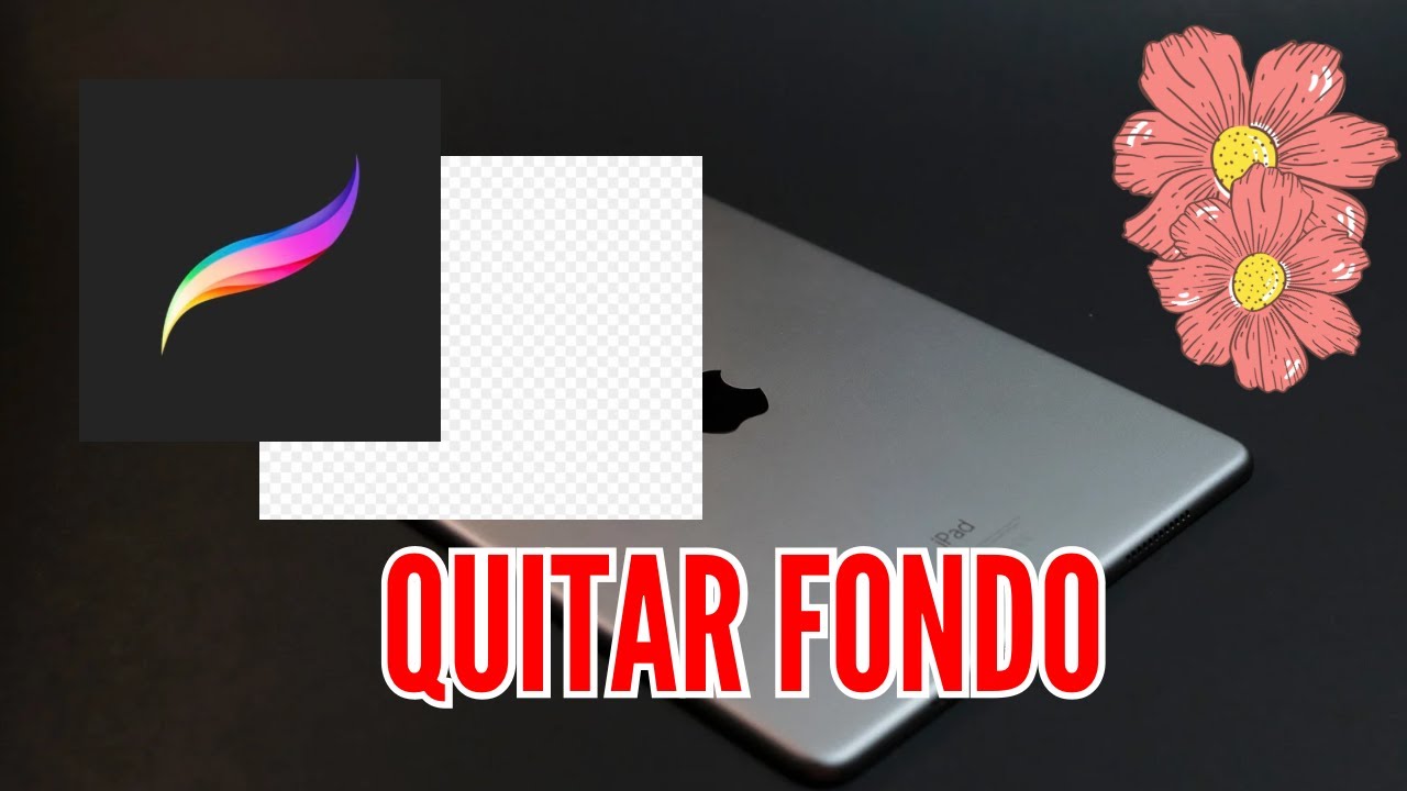 💥 Como GUARDAR im&aacute;genes SIN FONDO en PROCREATE 🎨