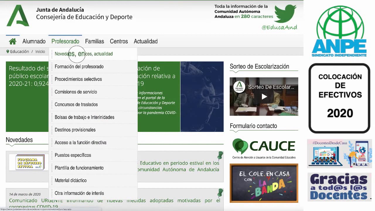 Colocación de efectivos 2020: