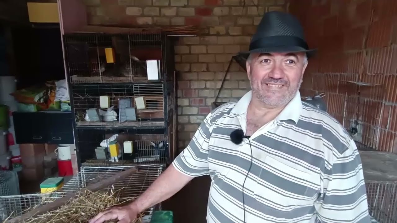 Uzgoj kunica Sima iz  Susek