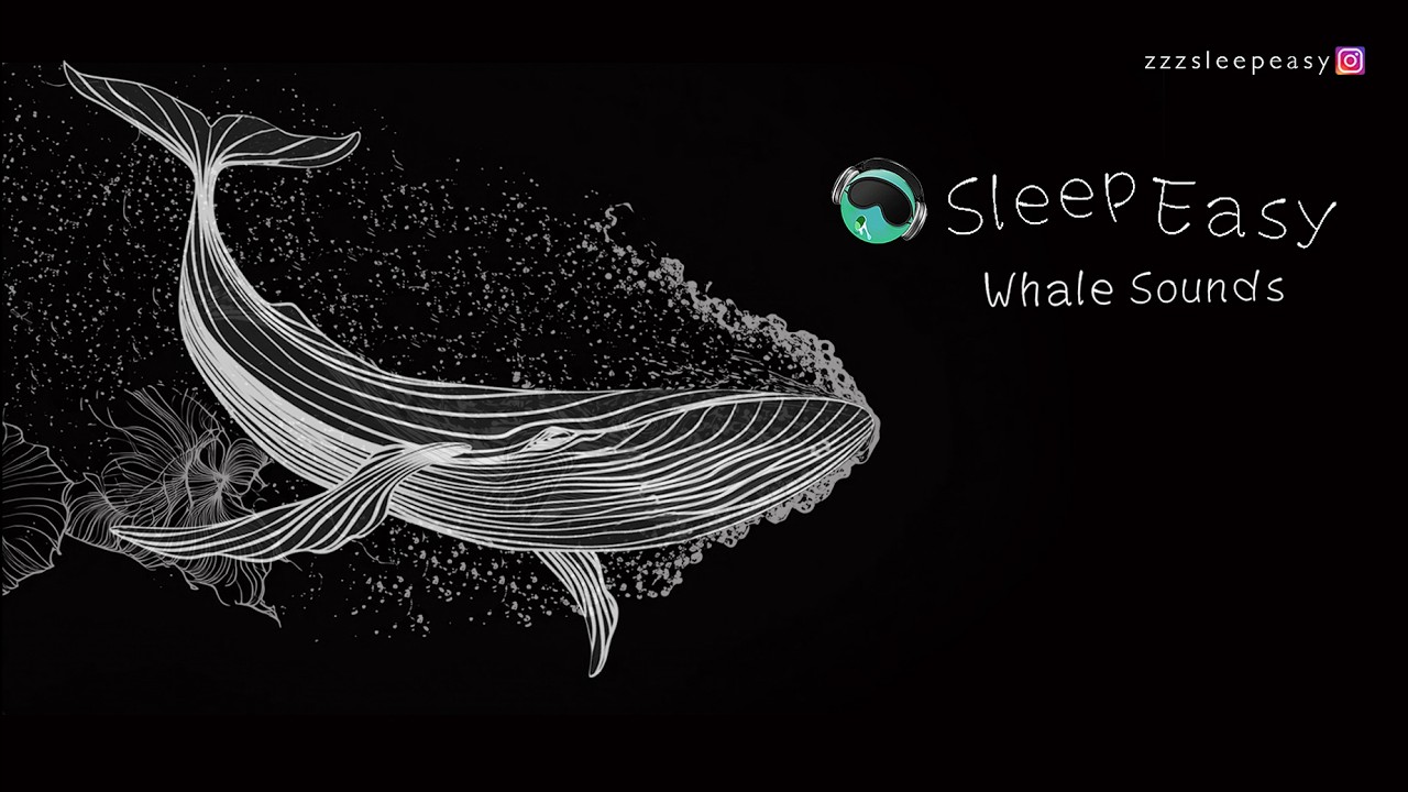 Healing songs of Whales | Deep Meditation Music for Harmony of Inner Peace
