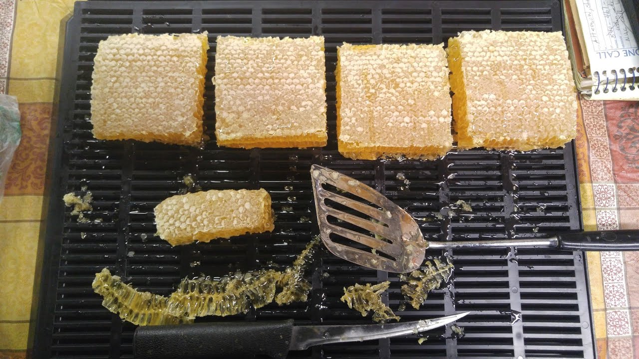 Preparing Cut Comb Honey for Packaging
